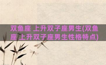 双鱼座 上升双子座男生(双鱼座 上升双子座男生性格特点)